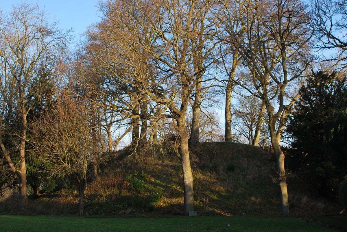 Bailey Hill Mold
