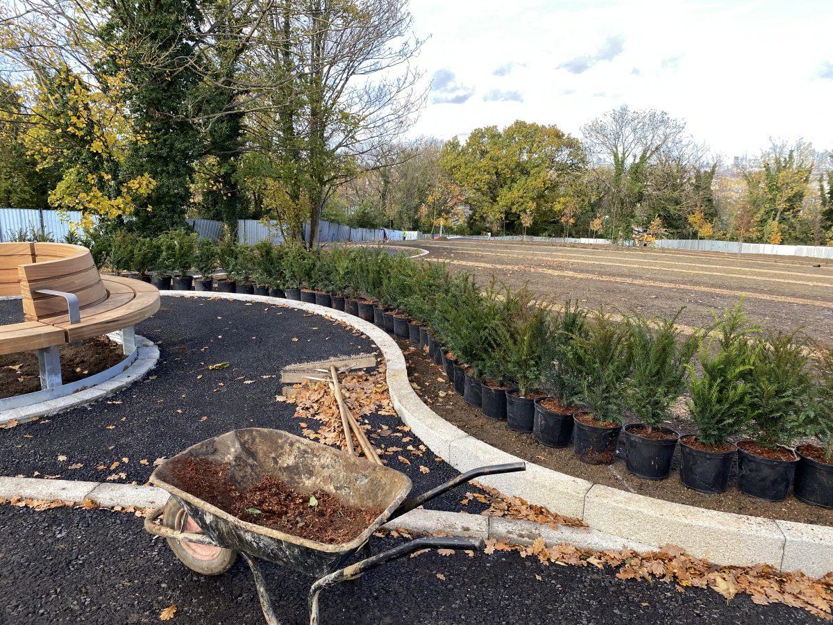 Southwark Cemetery Planting