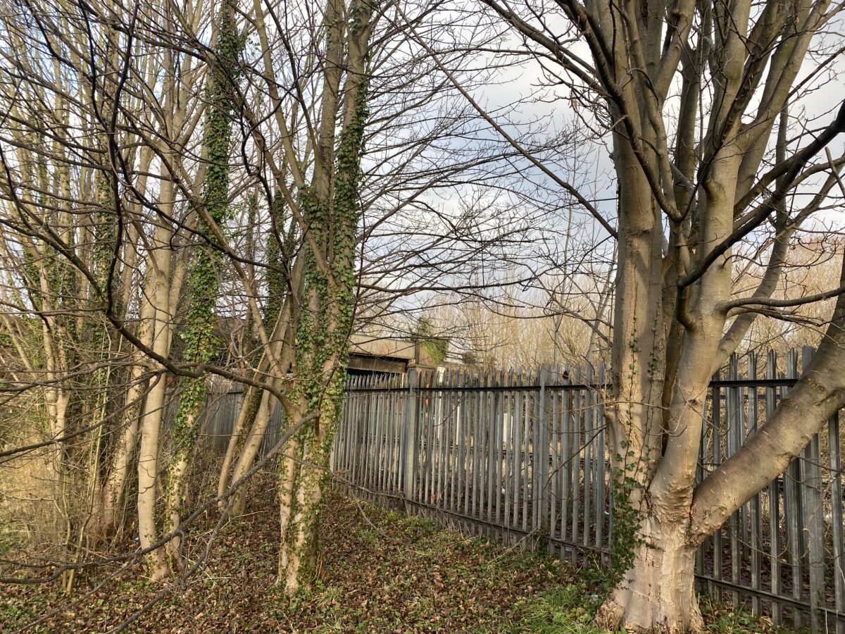 Shotton Railway